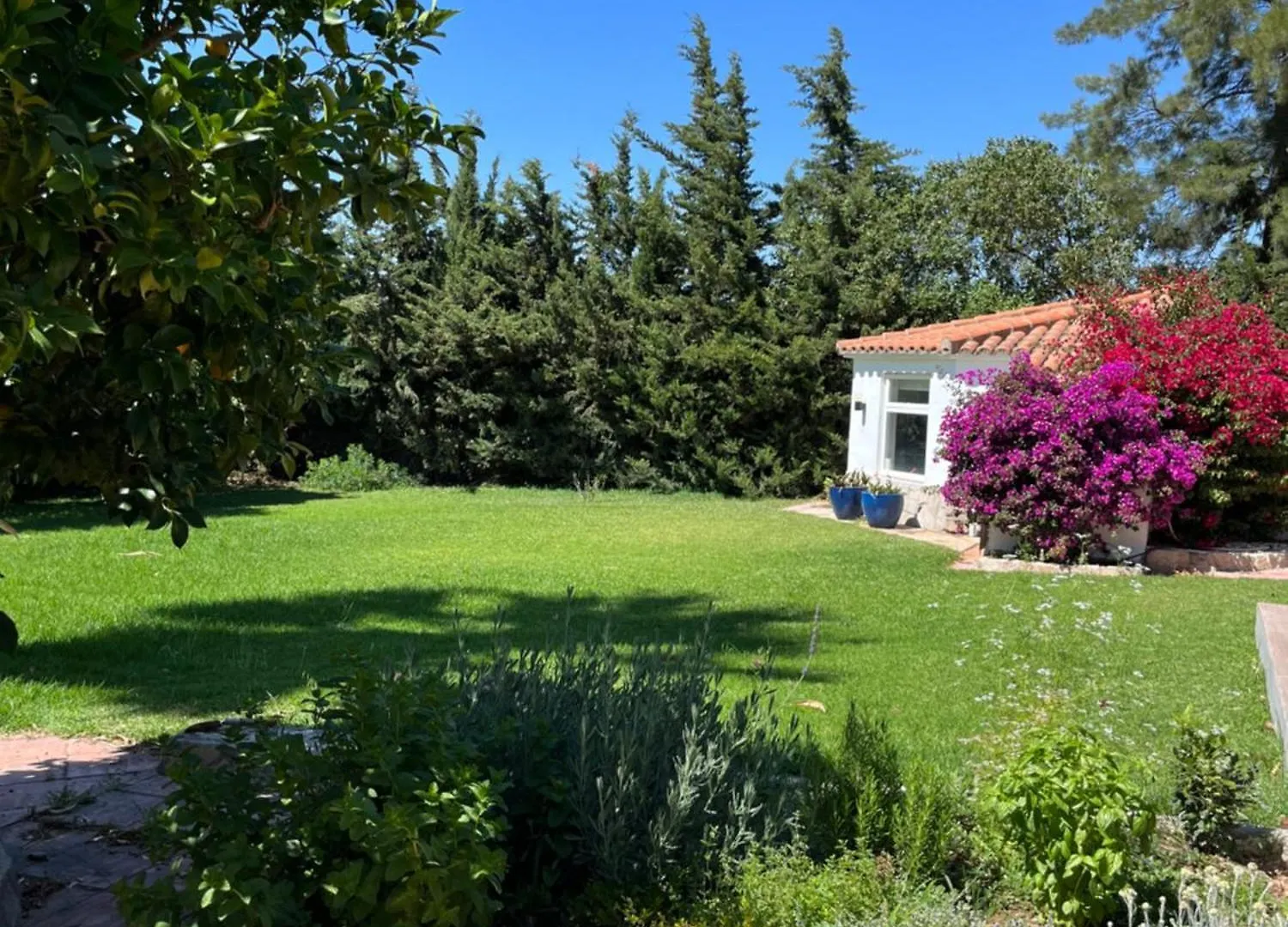 Abajo Stijlvol Appartement Met Zwembad En Tuin Cadiz