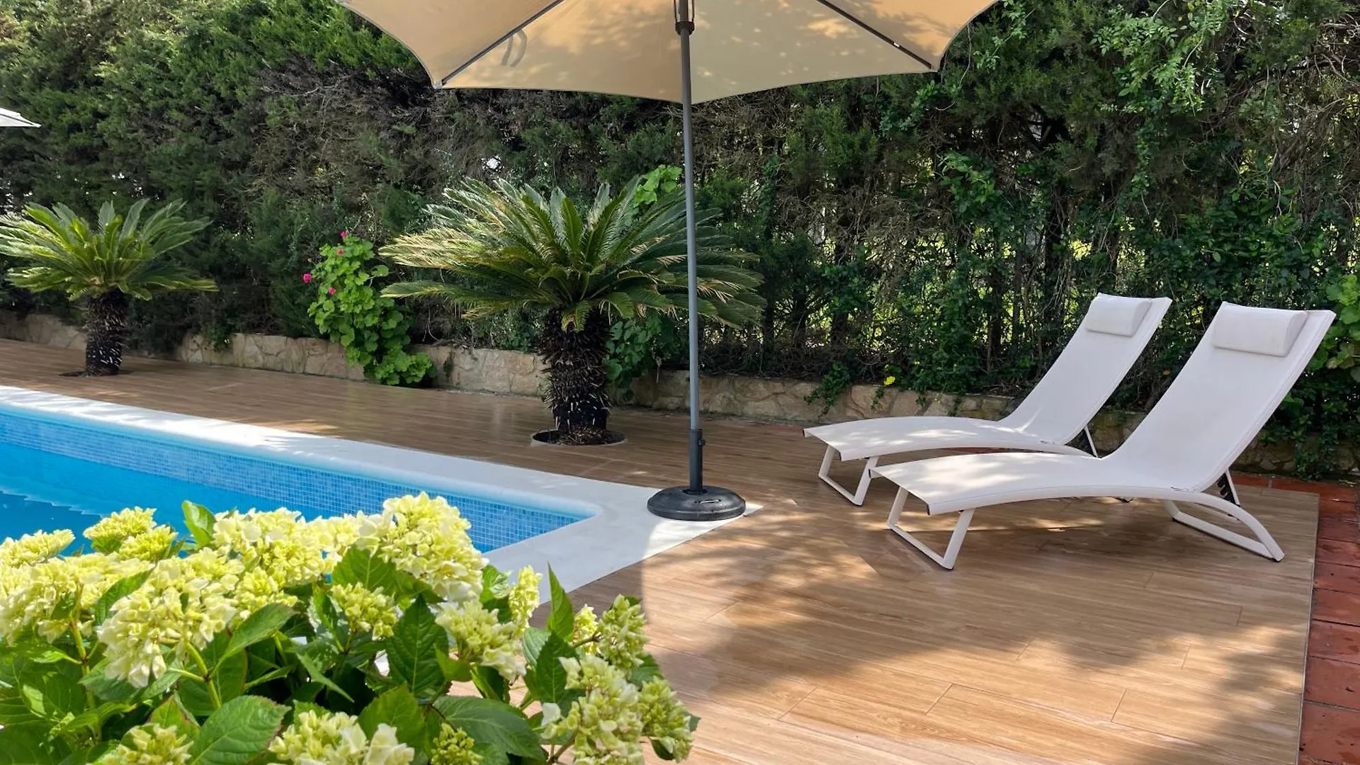 Apartment Abajo Stijlvol Appartement Met Zwembad En Tuin Cadiz